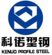 泰安科诺型钢股份有限公司